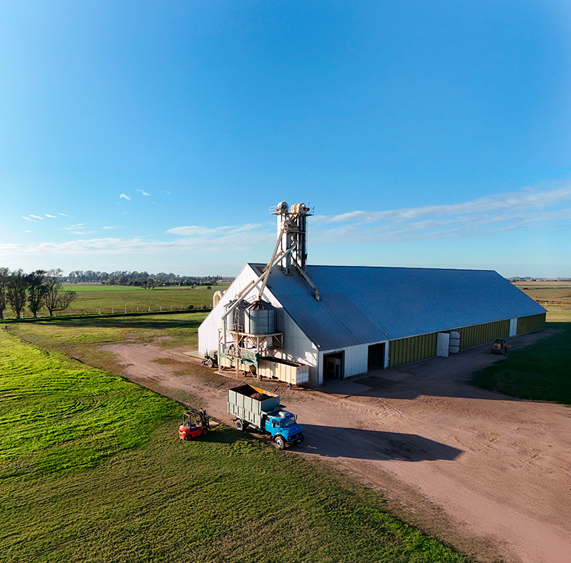 Planta procesadora de ManíFood Argentina