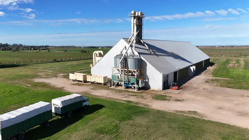 Campos de cultivo de maní de ManíFood Argentina